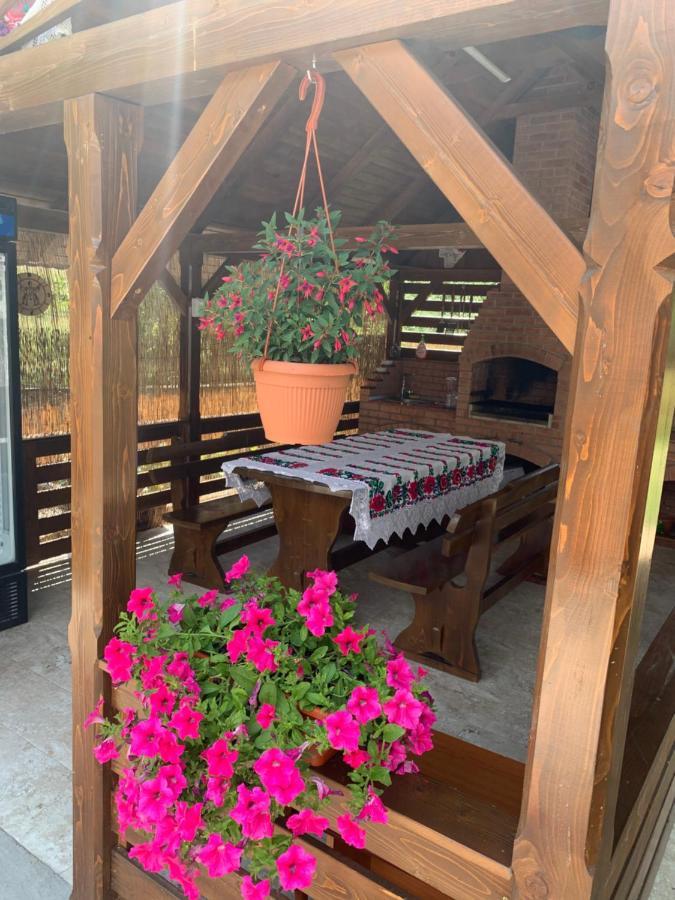 Pensiunea Laura Guest house