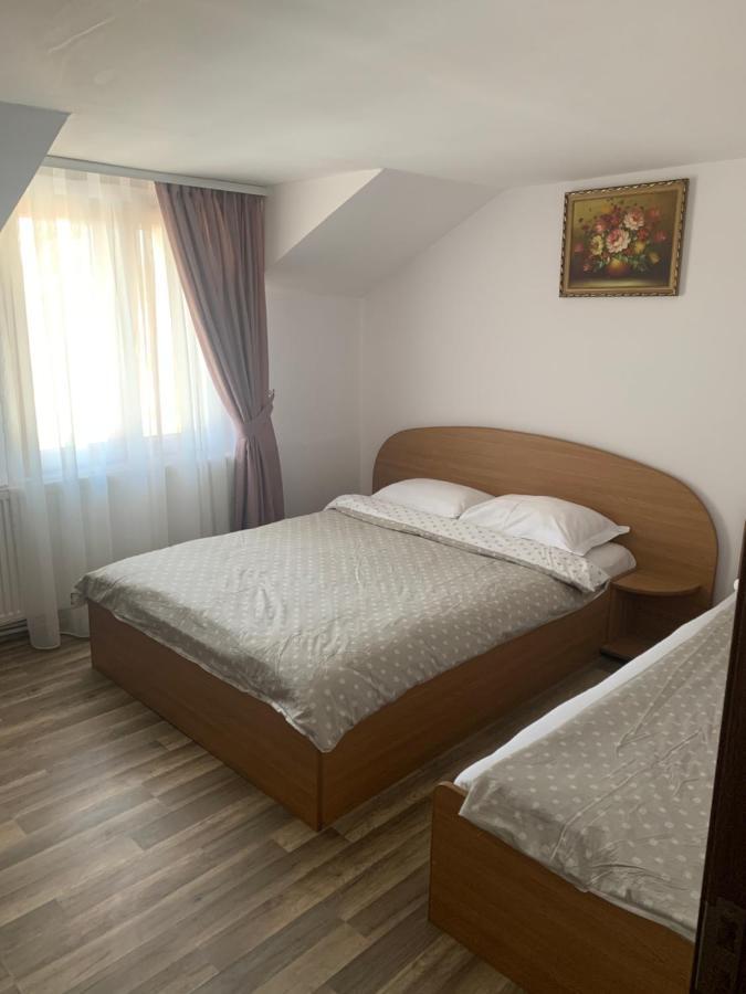 Guest house Pensiunea Laura 3*