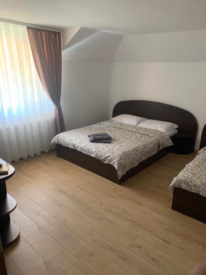 Pensiunea Laura Guest house