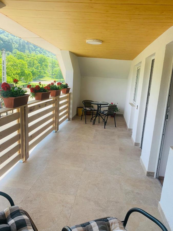 Pensiunea Laura Guest house