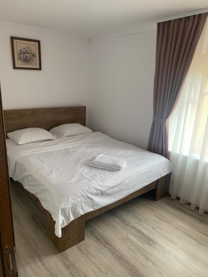 Pensiunea Laura Guest house